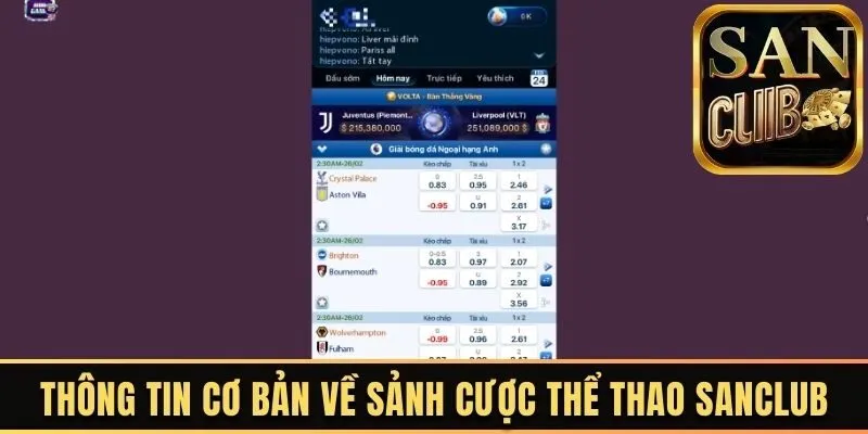 Thông tin cơ bản về sảnh cược thể thao Sanclub
