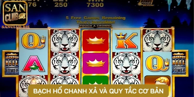 Bạch Hổ chanh xả và quy tắc cơ bản