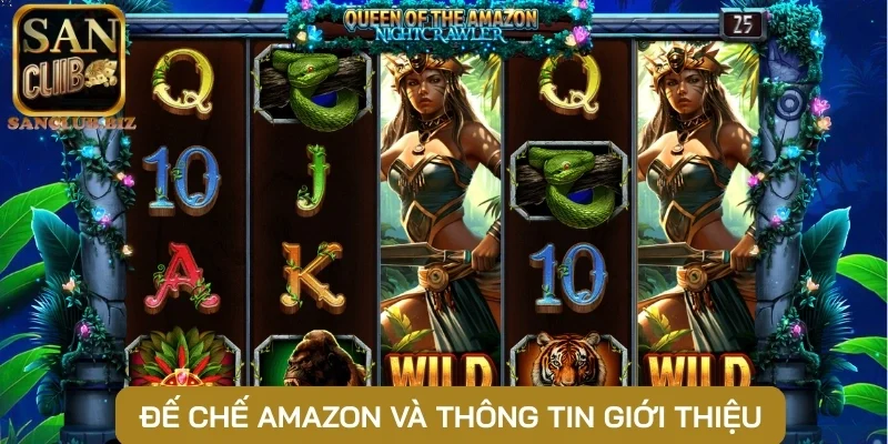 Đế chế Amazon và thông tin giới thiệu