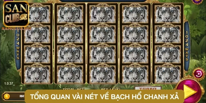 Tổng quan vài nét về Bạch Hổ chanh xả